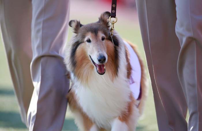 USATSI_8096446_168396119_lowres